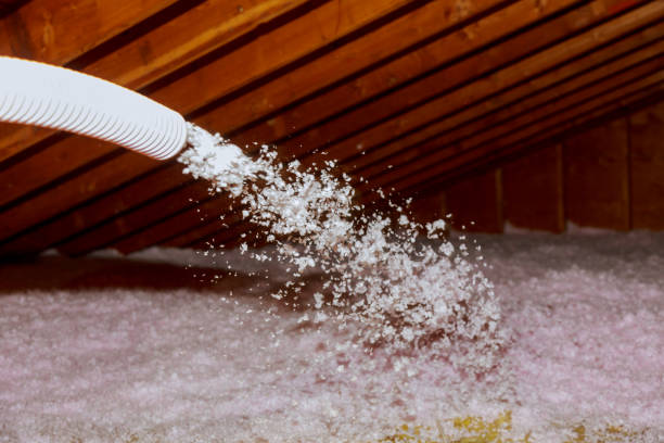 Best Wall Insulation Contractor  in Vidor, TX