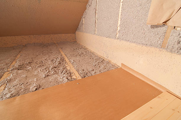 Best Insulation Replacement Services  in Vidor, TX